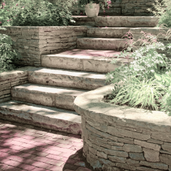 Hardscaped walkway and steps with various plants