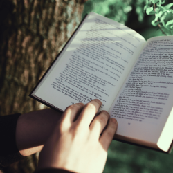 A book outside