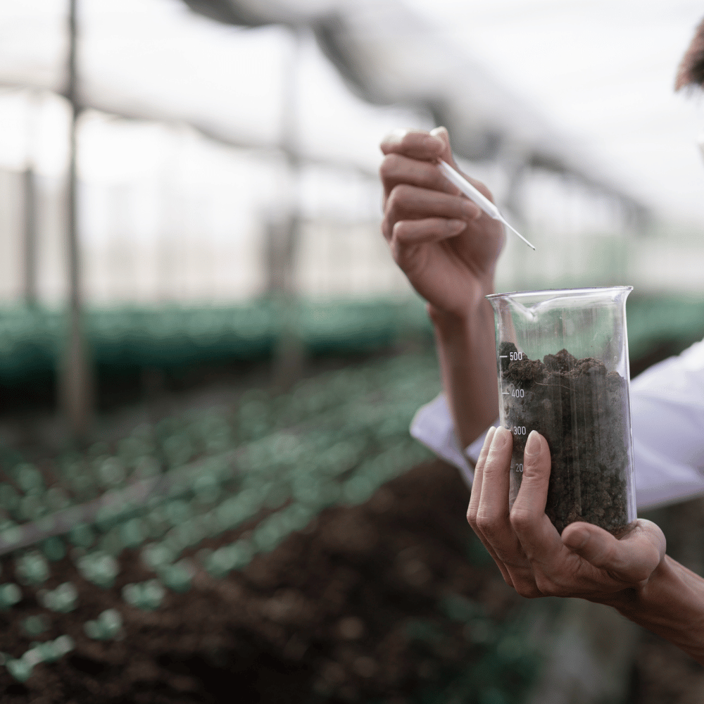 A person testing soil in a beaker