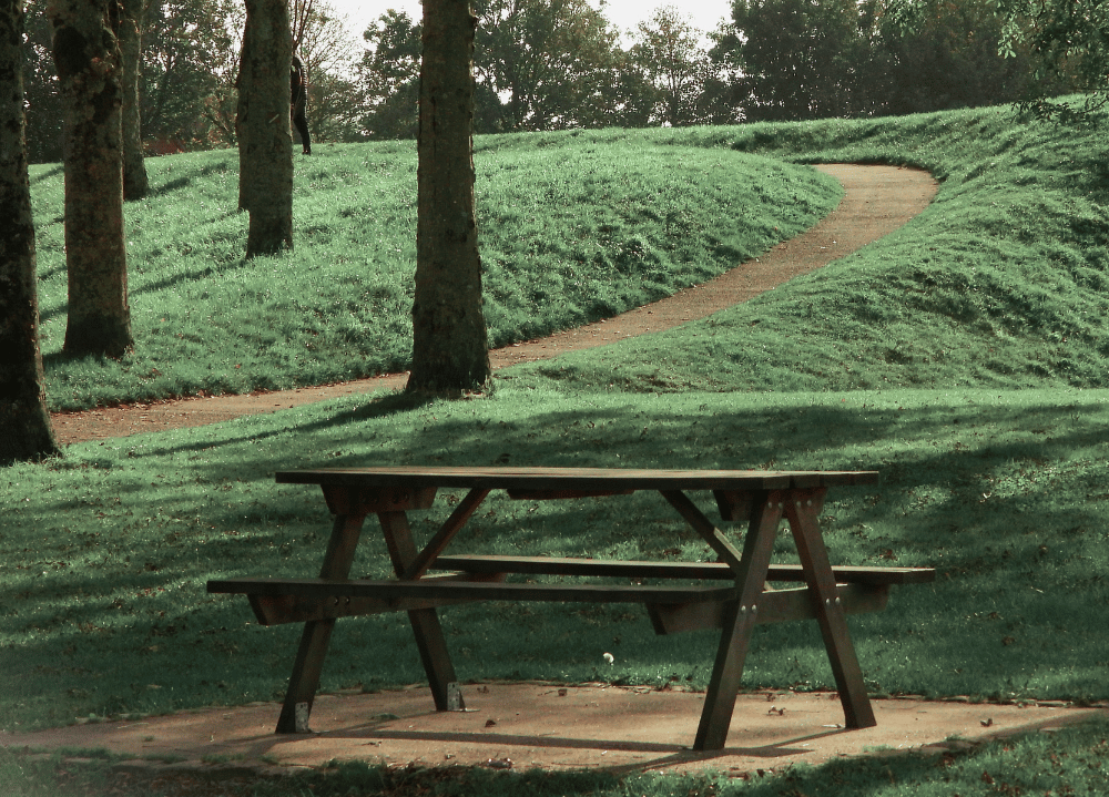 A table in a park with a landscaped path
